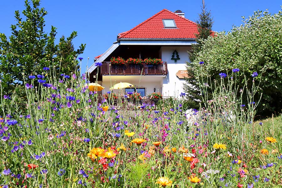 Hotel zum Wohlfühlen