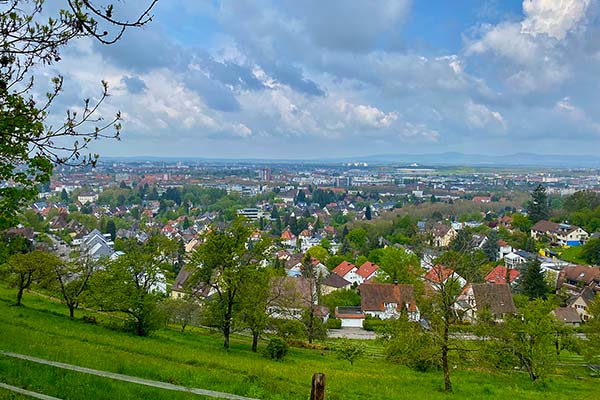 Frühlingserwachen in Freiburg im Breisgau