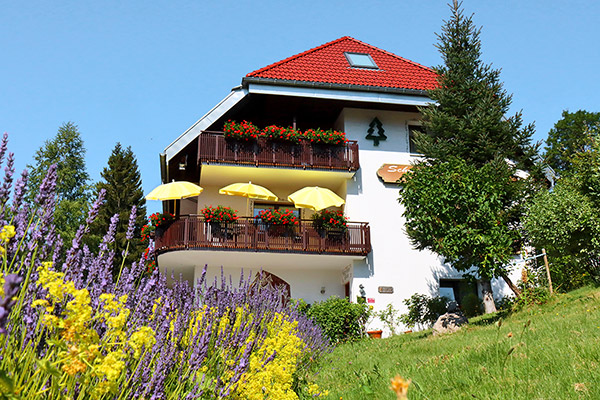 Hotel-Pension Kräutle - Willkommen am Feldberg im Schwarzwald, auf 1100 Meter Höhe zwischen Titisee und Schluchsee