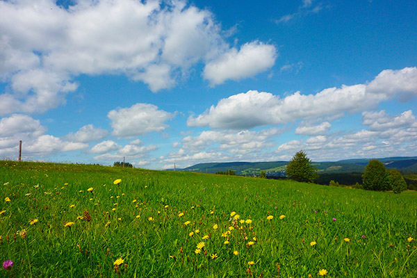 Saftige Wiesen und atemberaubende Aussichten