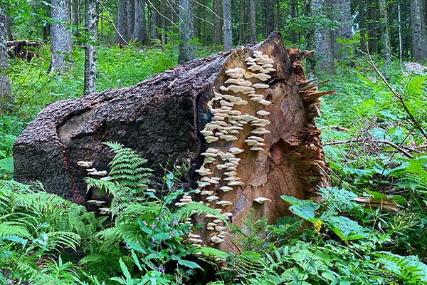 Beeindruckende Naturschönheiten