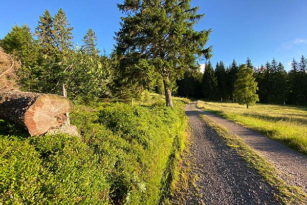 Gut ausgebautes Wanderwegenetz