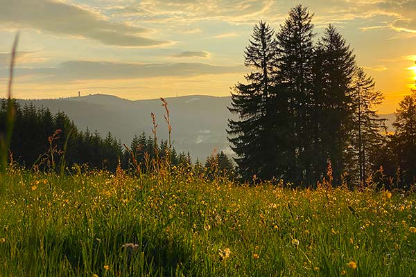 Magische Schwarzwaldmomente